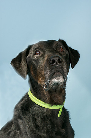 Jake2