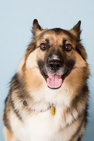 Zeus2