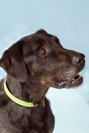 Jake1