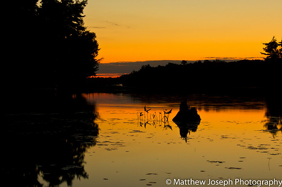 Healy Sunset
