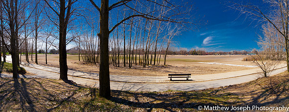 Toronto Beaches